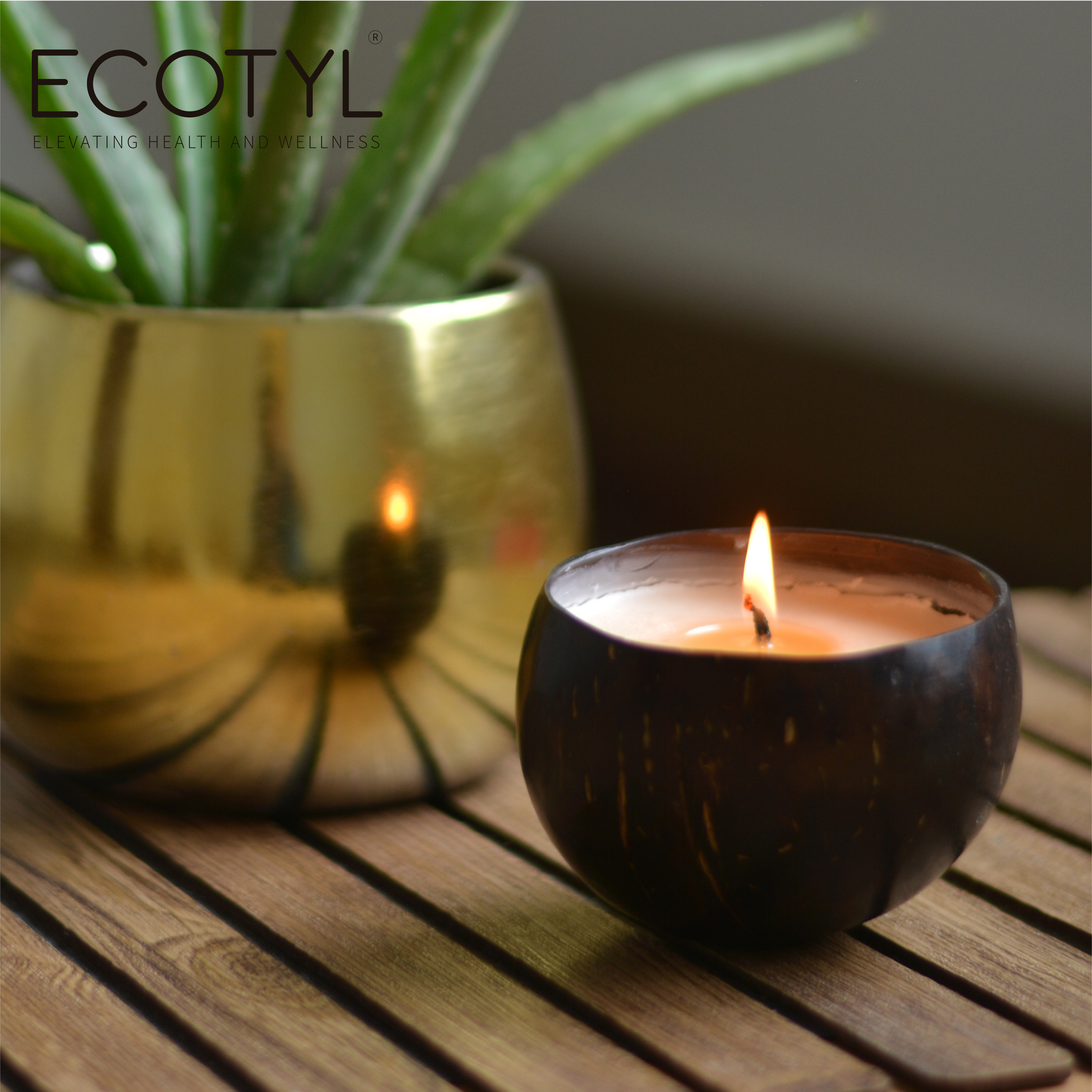 Ecotyl Coconut Shell Candle - Patchouli & Rosewood | Pure Soy Wax | 100g